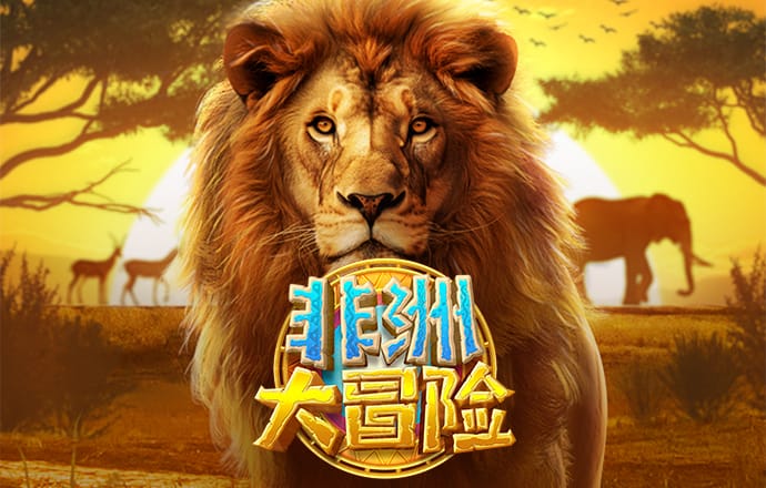 ky88vip棋牌官网截图2